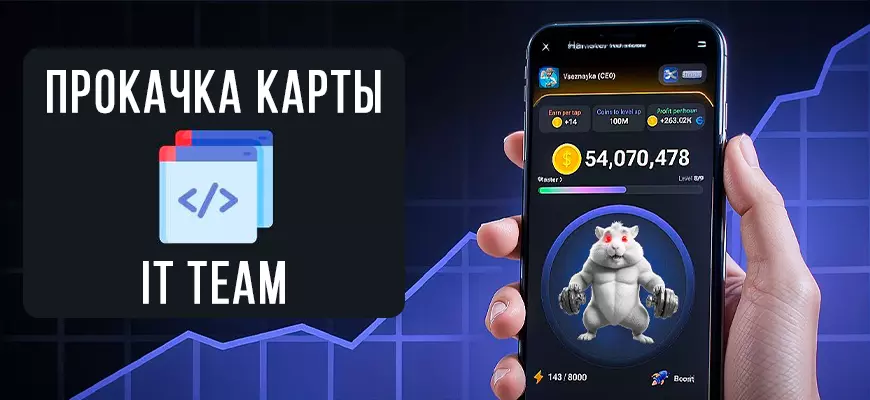 IT team карта в Hamster Kombat