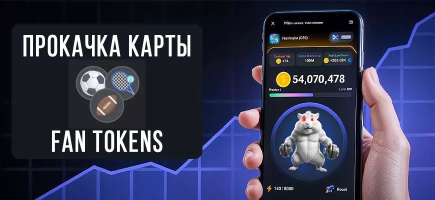 Карта Fan tokens в Hamster Kombat