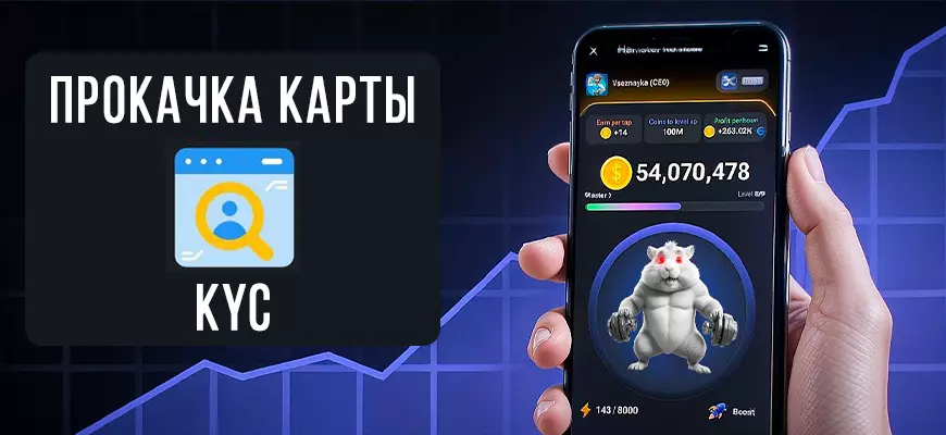 Карта KYC в Hamster Kombat