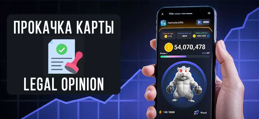 Карта Legal opinion в Hamster Kombat